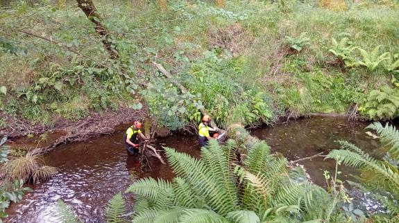 Imaxe da nova:A Xunta realiza labores de conservación nun tramo fluvial de  case 650 metros no concello da Capela