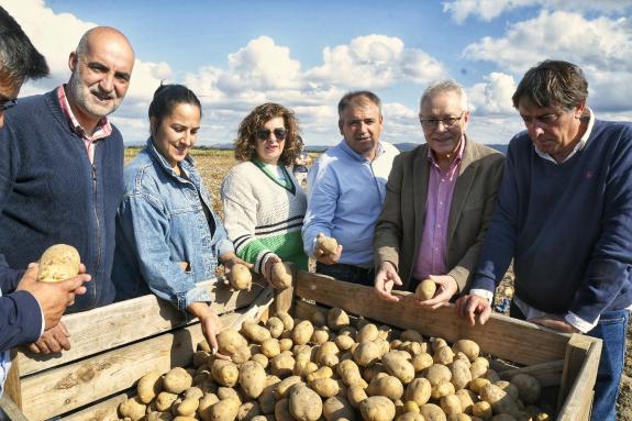 Imagen de la noticia:Medio Rural resalta la importancia de la producción de patata para el agro gallego y la comarca de A Limia