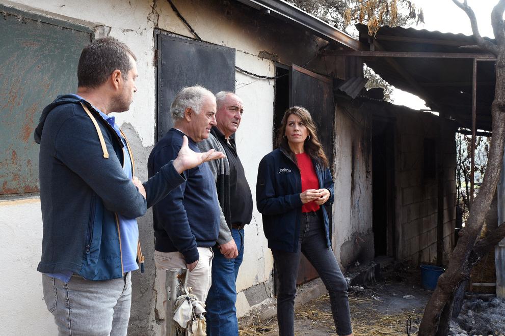 Imagen 4 de 5 asociada a la noticia