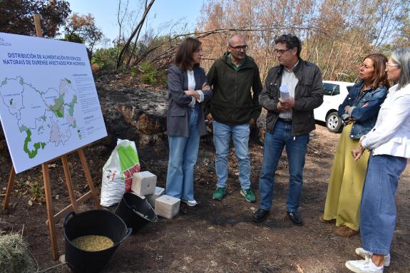 Imaxe da nova:A Xunta repartirá 34.000 quilos de palla e cereais para alimentar a fauna silvestre afectada polos incendios