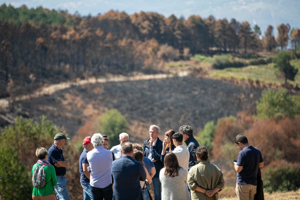 Imagen 2 de 16 asociada a la noticia