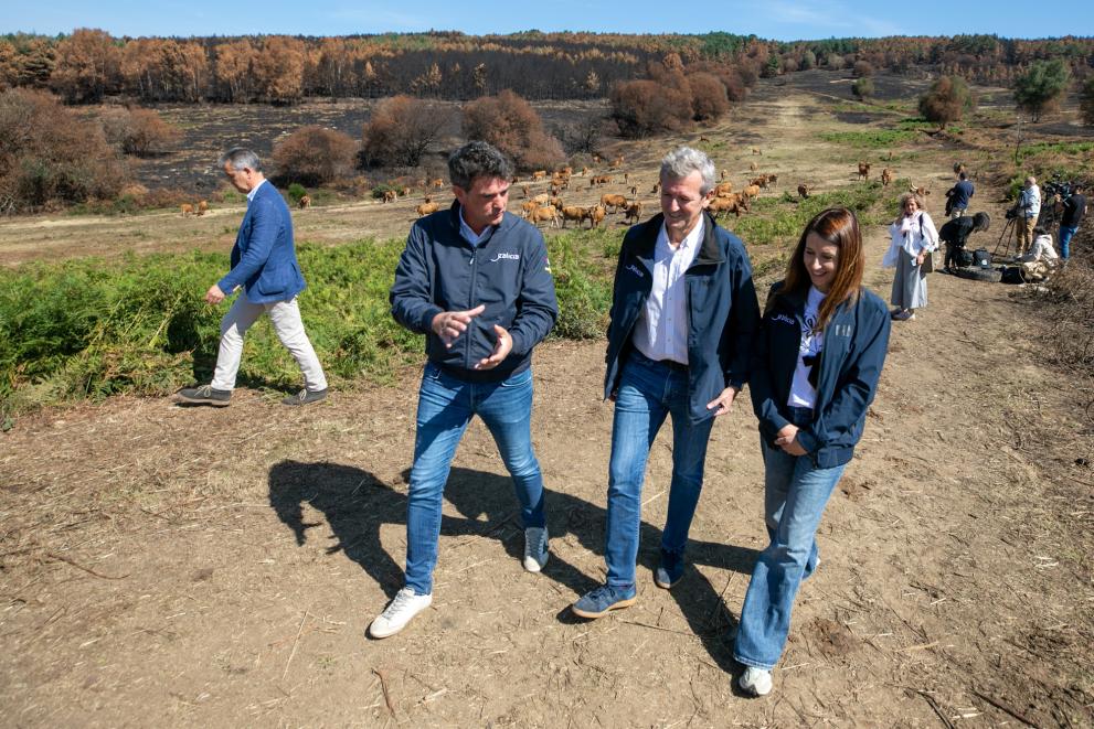 Imagen 6 de 16 asociada a la noticia