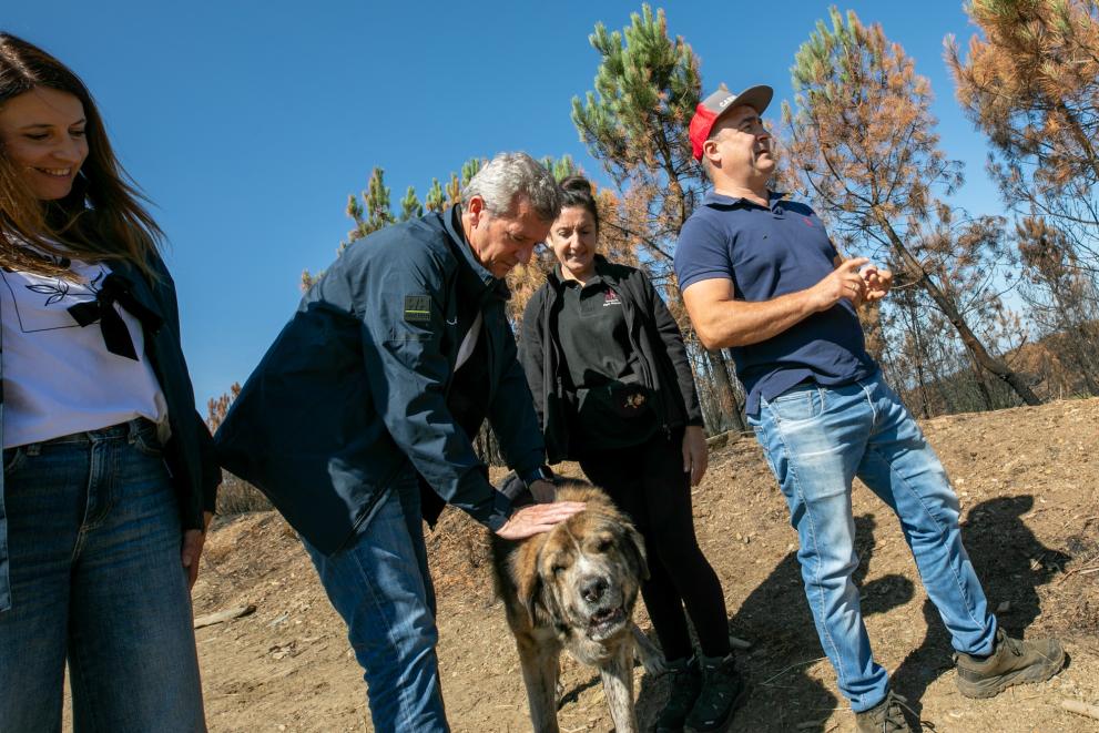 Imagen 8 de 16 asociada a la noticia