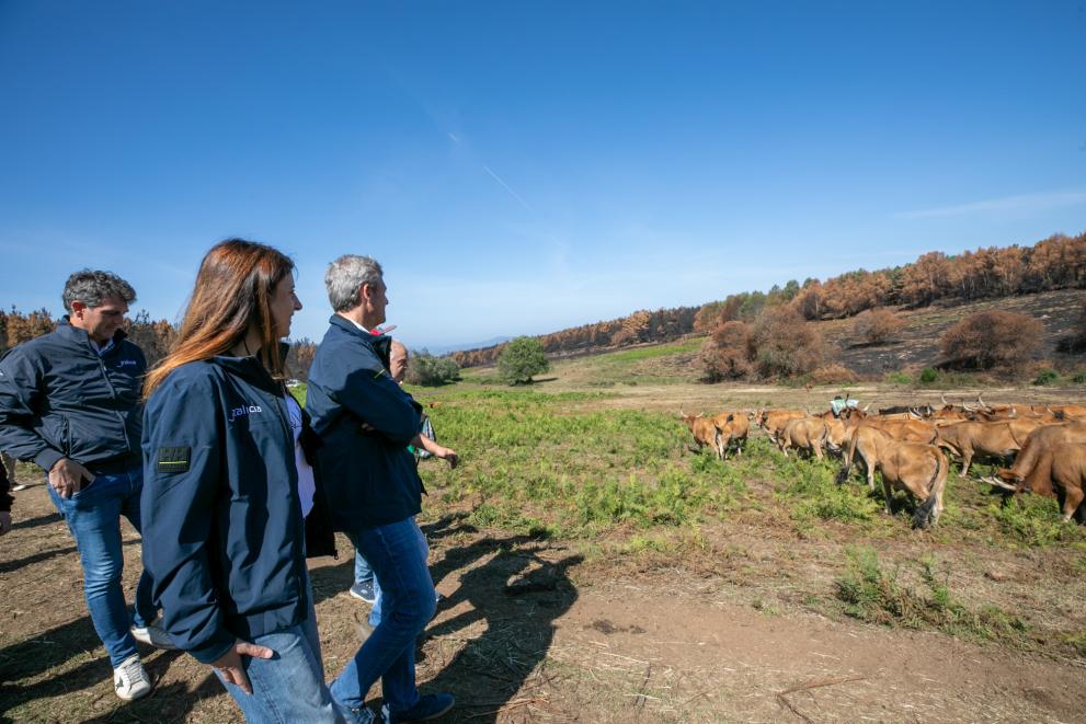 Imagen 9 de 16 asociada a la noticia
