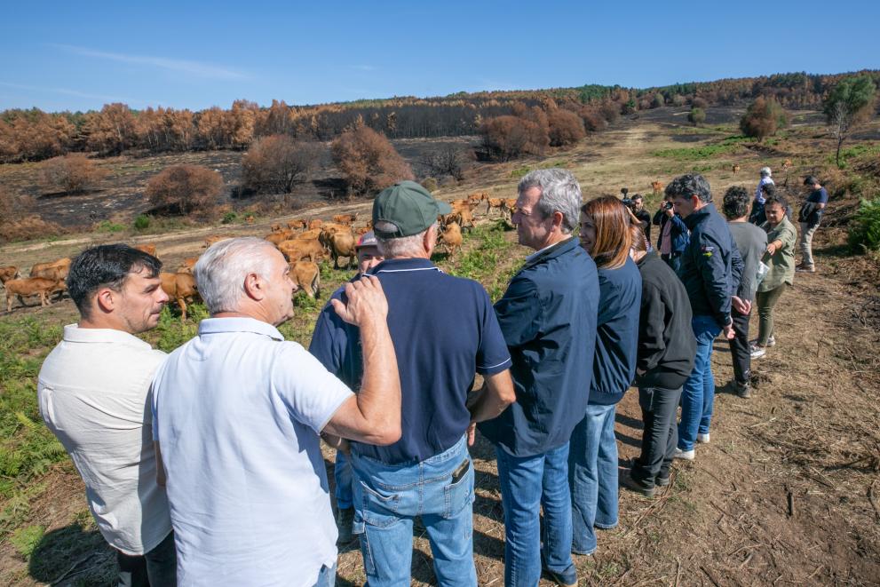 Imagen 11 de 16 asociada a la noticia