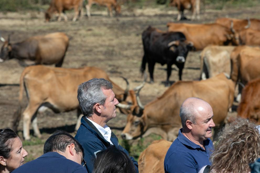 Imagen 12 de 16 asociada a la noticia