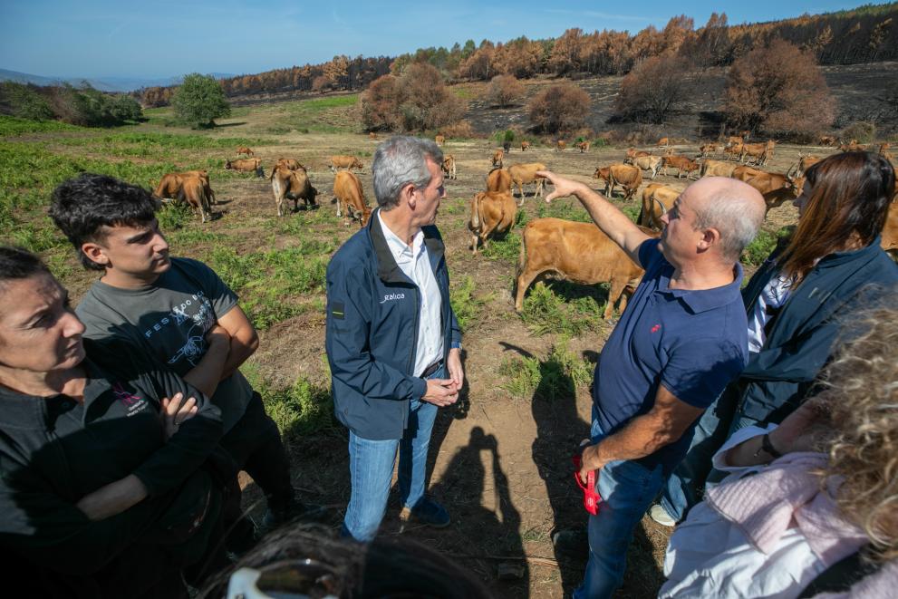 Imagen 13 de 16 asociada a la noticia