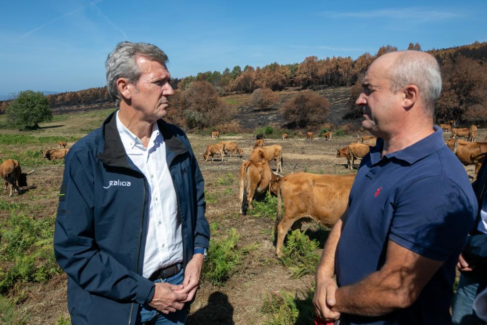 Imagen 14 de 16 asociada a la noticia