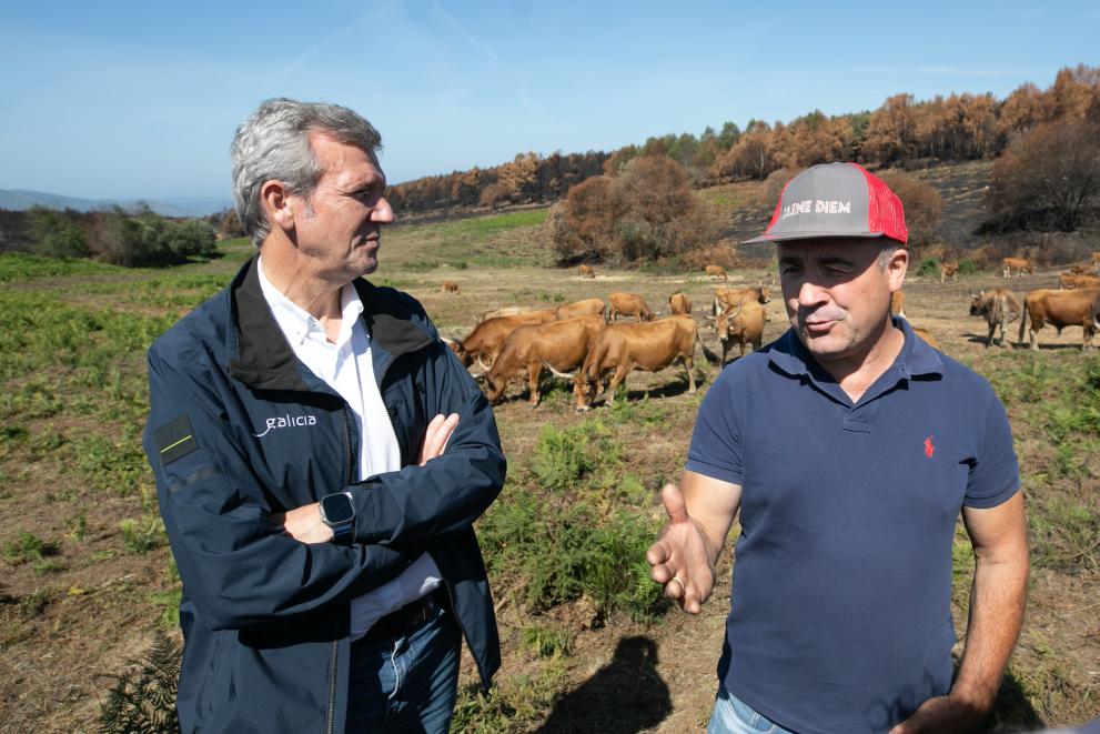 Imagen 15 de 16 asociada a la noticia