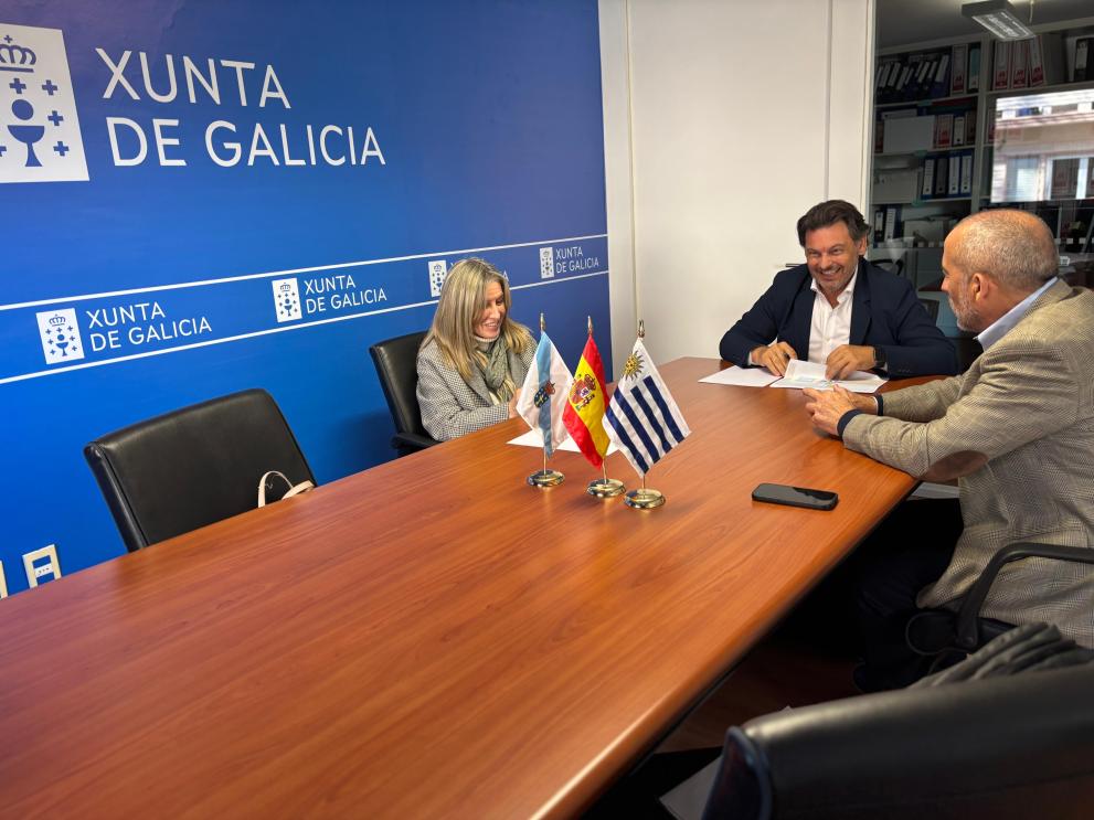 Imaxe 4 de 4 asociada á nova