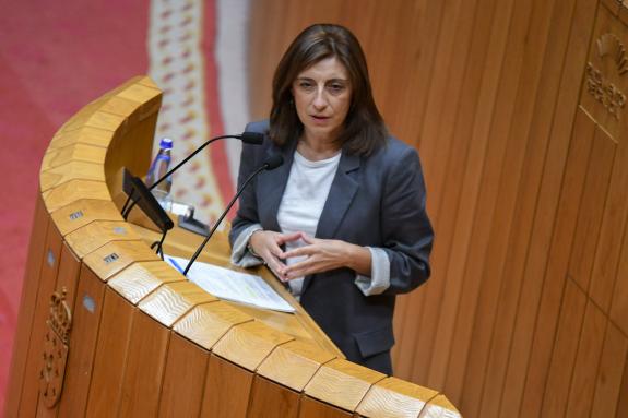 Imaxe da nova:Ángeles Vázquez insta ao Goberno central a seguir o exemplo da Xunta e protexer os ríos da súa competencia do arrastre das cinzas d...