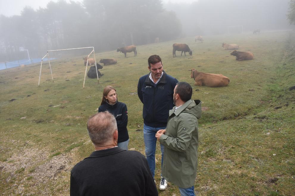 Imaxe 2 de 3 asociada á nova