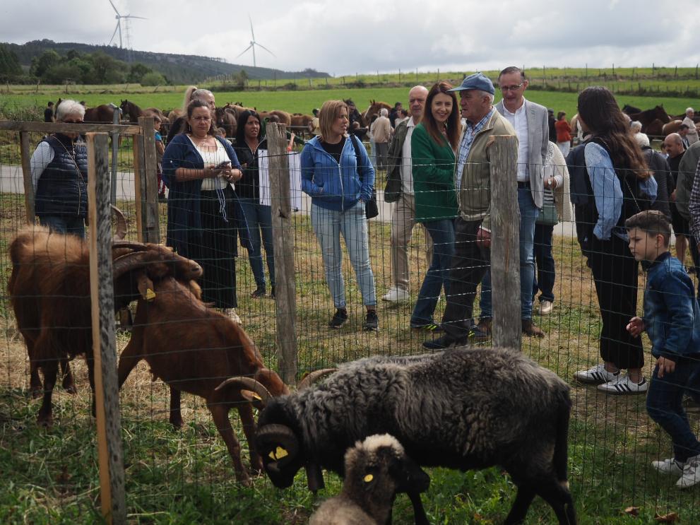 Imagen 3 de 3 asociada a la noticia