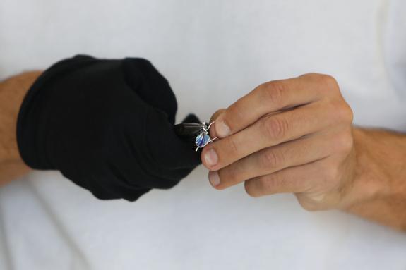 Imagen de la noticia:La Xunta abre mañana lunes el plazo de recepción de candidaturas de los Premios Artesanía de Galicia 2025 con el objetivo de...