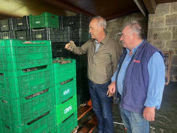 Imaxe da nova:O delegado territorial visita a bodega Os Areeiros para coñecer de primeira man as sensacións dos viticultores nesta campaña de ven...