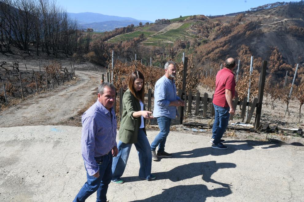 Imagen 4 de 6 asociada a la noticia