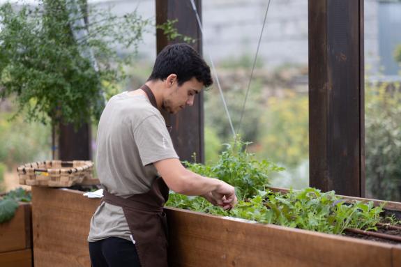 Imagen de la noticia:La Xunta destina 630.000€ a programas de voluntariado intergeneracional en el rural