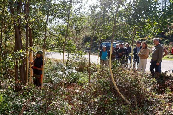 Imaxe da nova:A Xunta inviste preto de 311.000 € nos traballos para a eliminación de máis de 26 hectáreas de acacia negra no Parque Natural do Mo...