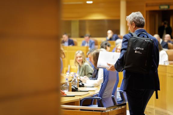 Imaxe da nova:Rueda responde no Pleno as preguntas dos grupos parlamentarios