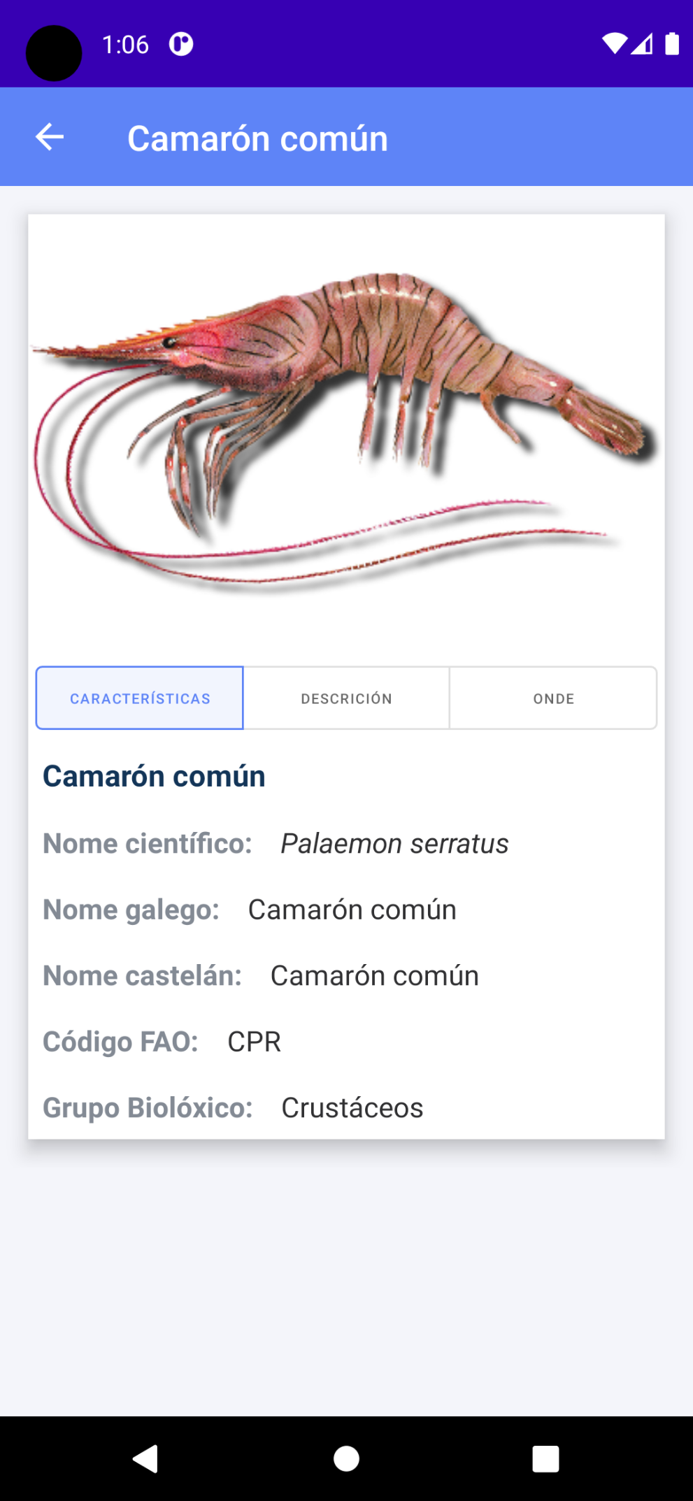 Imaxe asociada a pescadeRías ¿de onde se non?: 3