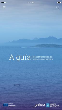 Imaxe asociada a A guía de especies pesqueiras: 1