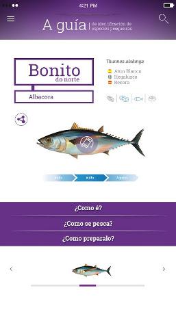 Imaxe asociada a A guía de especies pesqueiras: 2