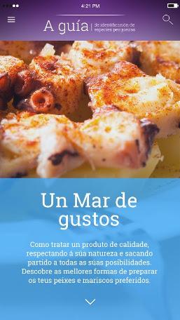 Imaxe asociada a A guía de especies pesqueiras: 3