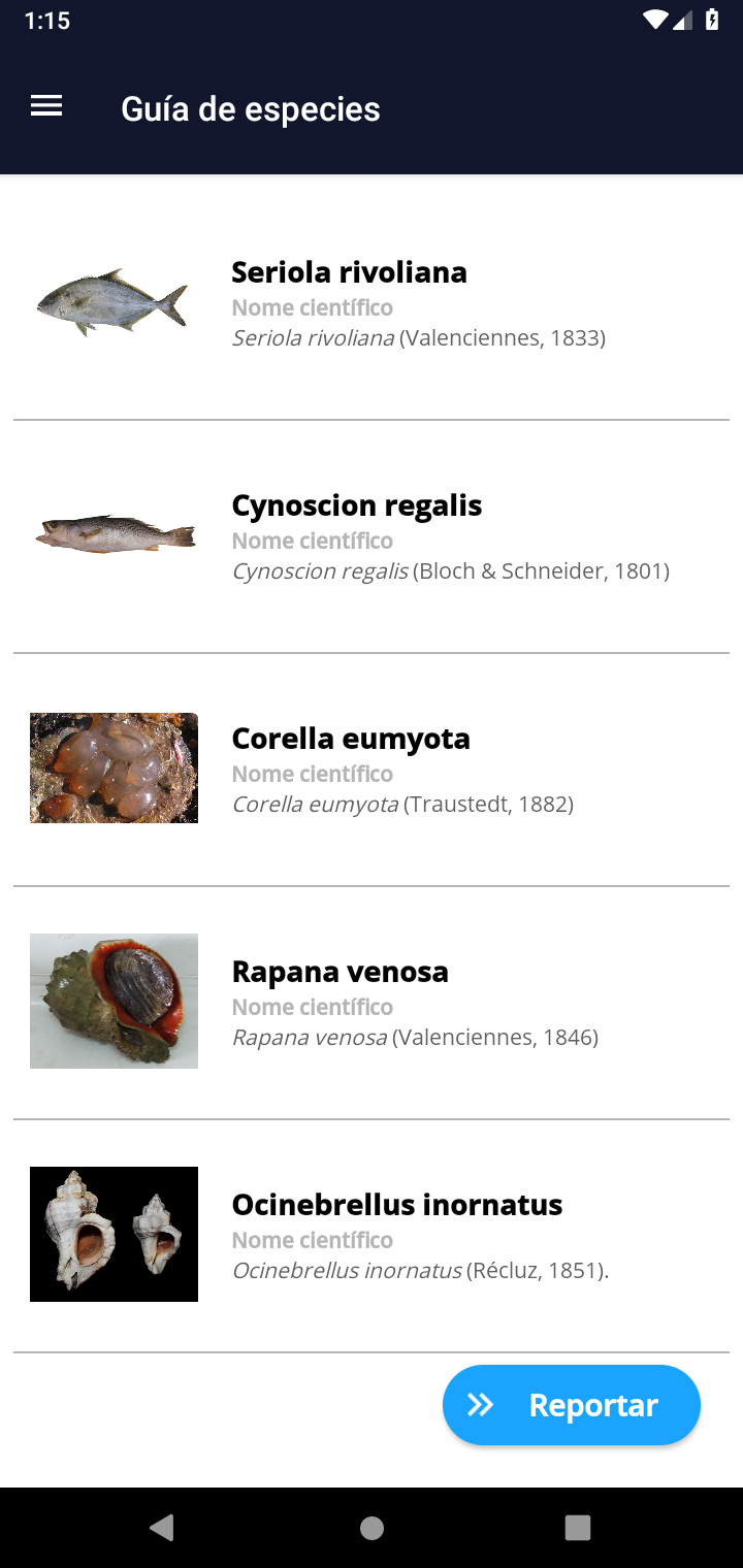 Imaxe asociada a Redogal: 3