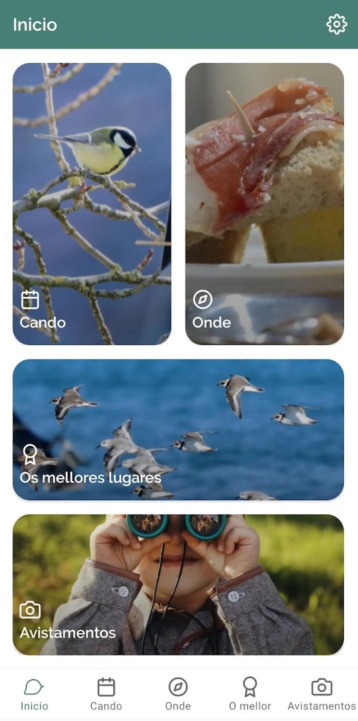 Imagen asociada a Galicia Birding: 3