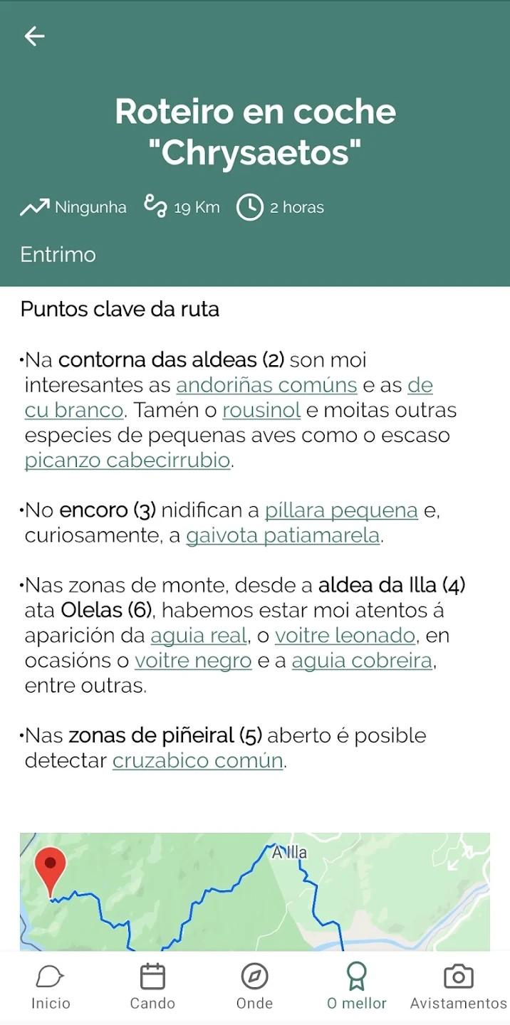 Imagen asociada a Galicia Birding: 7