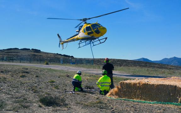 Imaxe da nova:A Xunta inicia o reparto aéreo de 60 toneladas de palla para alimentar á fauna silvestre afectada polo lume