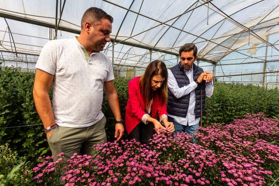 Imaxe da nova:María José Gómez sinala Galicia como unha potencia na planta ornamental e a flor cortada, cun valor anual de 82 M€ e 1.500 postos d...
