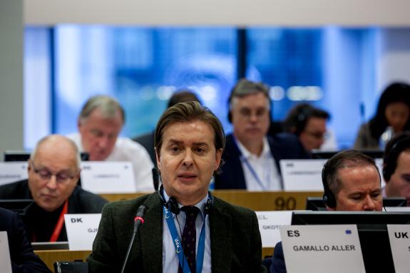 Imagen de la noticia:Galicia apoya en Bruselas la visión regional de la Estrategia de Seguridad Europea