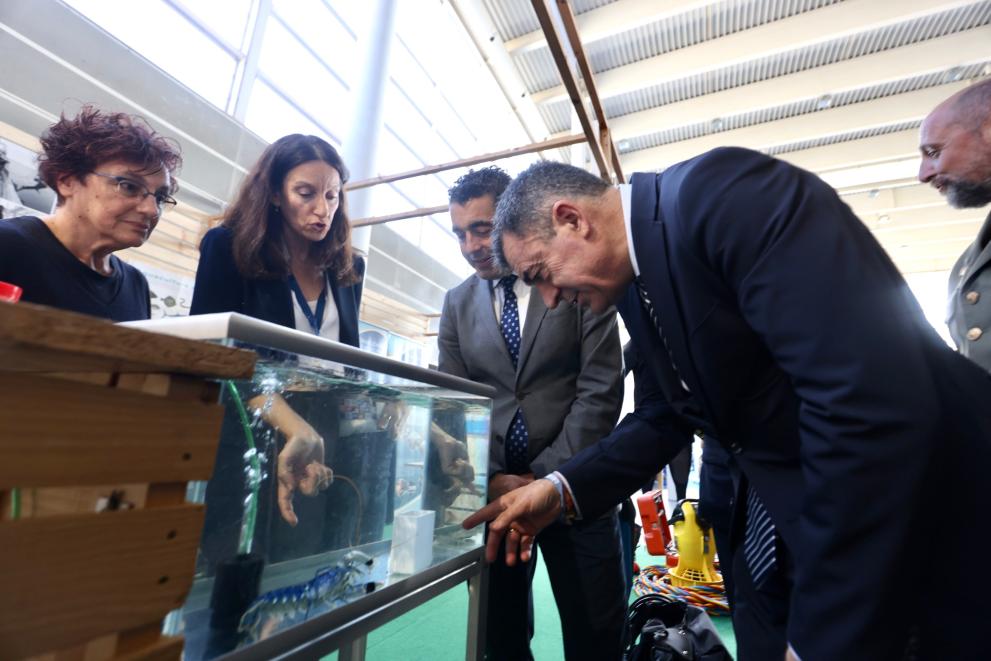 Imagen 7 de 7 asociada a la noticia
