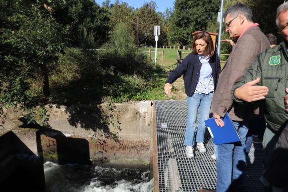 Imaxe da nova:A Xunta salienta que o contador automático de peixes instalado no Ulla xa está subministrando datos clave para a conservación das p...