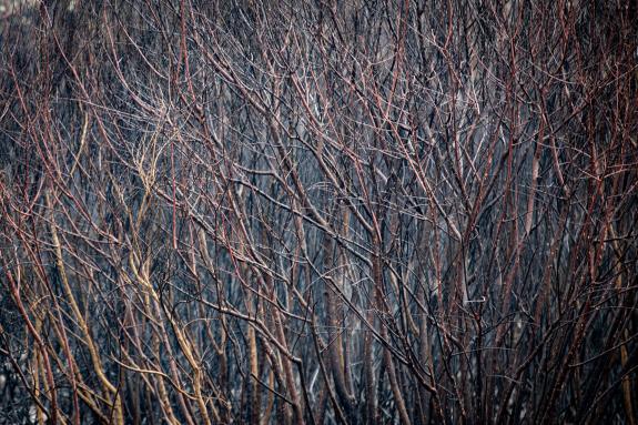 Imaxe da nova:Rueda anuncia que a Xunta vai reorientar parte dos fondos Feder para destinalos á reconstrución das zonas afectadas pola vaga de lu...