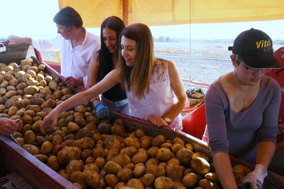 Imaxe da nova:Medio Rural destaca a calidade da pataca galega e a importancia da Limia como zona produtora de referencia