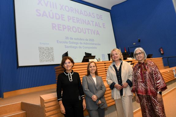 Imaxe da nova:Máis de 220 profesionais da sanidade pública afondan na abordaxe da saúde perinatal e reprodutiva