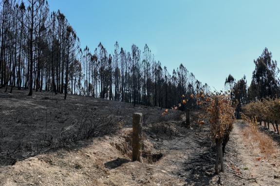 Imaxe da nova:Rueda destaca que a Xunta xa concedeu 42 axudas por un importe de 2,9 M€ para propietarios das vivendas afectadas pola vaga de lume...