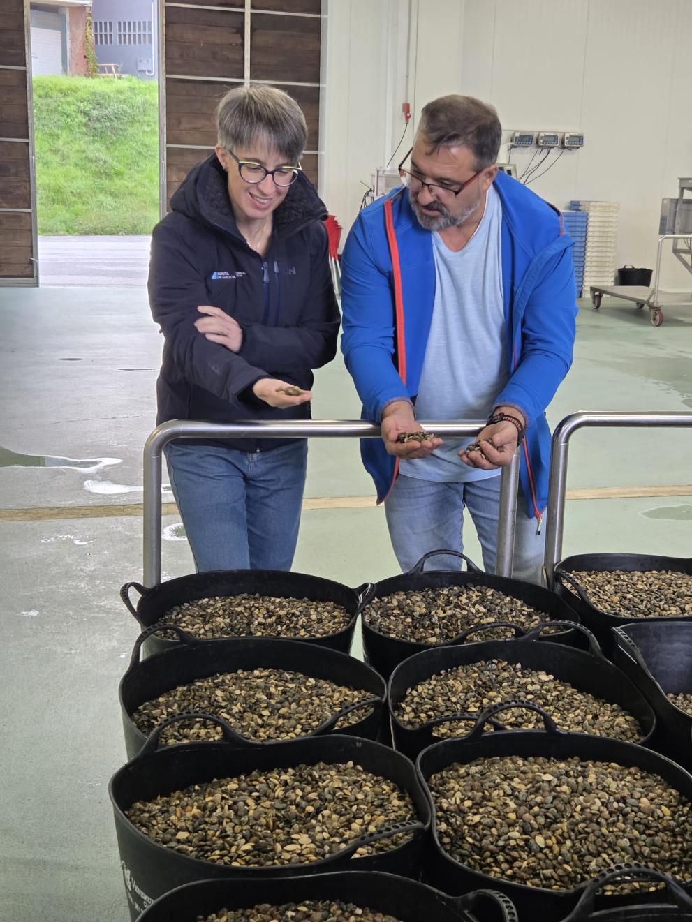 Imaxe 3 de 4 asociada á nova