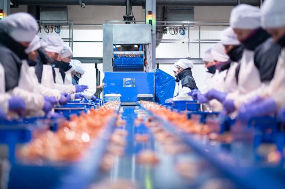 Imaxe da nova:Rueda resalta que a Xunta mellora a competitividade e a rendibilidade das pemes de transformación de produtos do mar con 14,7 M€