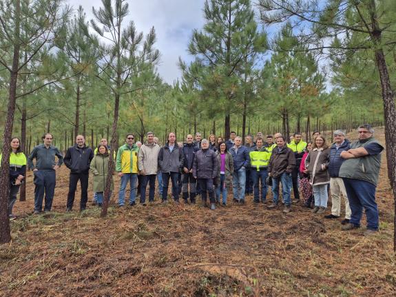 Imaxe da nova:A Xunta analiza con profesionais do sector forestal de Galicia, Chile, Uruguai e Portugal melloras para combater a praga do piñeiro