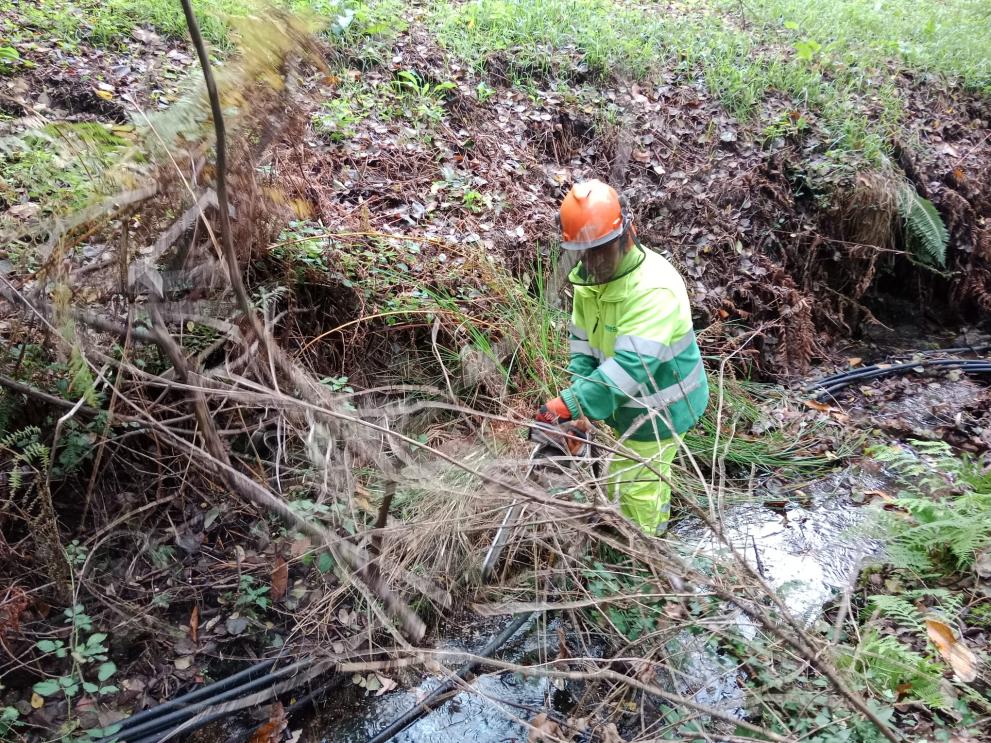 Imagen 1 de 2 asociada a la noticia
