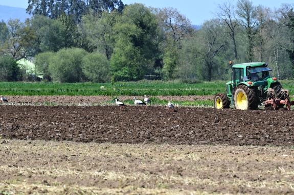 Imaxe da nova:Medio Rural destina 3,6 M€ a 27 cooperativas para fomentar o uso de maquinaria agrícola en común
