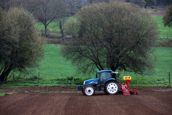 Imaxe da nova:Medio Rural abre desde este luns e ata o 21 de novembro o prazo para arrendar parcelas co Banco de Terras