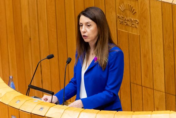 Imaxe da nova:Medio Rural incrementa un 50 % o investimento para 2026 en prevención contra incendios forestais e intensifica os apoios a particul...