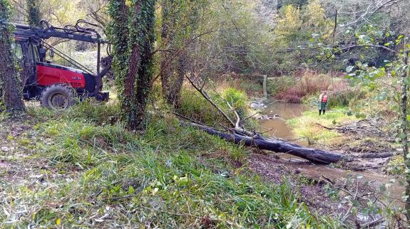 Imagen de la noticia:La Xunta realiza labores de conservación fluvial en más de 9,7 kilómetros en el río Mero, en el ayuntamiento de Cambre