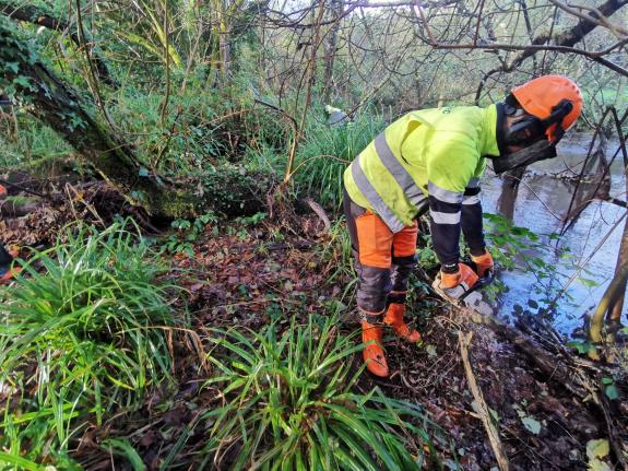 Imagen de la noticia:La Xunta realiza labores de conservación fluvial en cerca de 1,1 kilómetros en el río Santa Lucía, en Teo