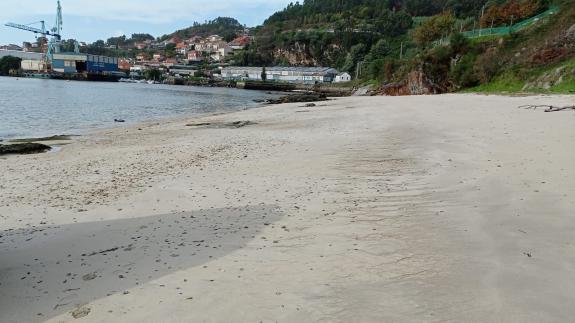 Imagen de la noticia:Concluida la limpieza de los restos del vertido de aceite de palma detectados en el entorno de los astilleros San Enrique y ...