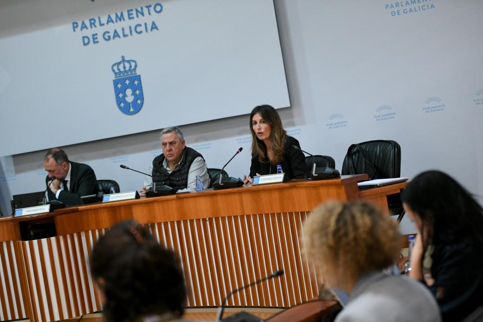 Imaxe 1 de 2 asociada á nova